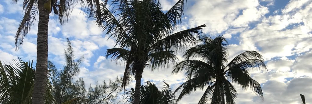 allythill's profile banner image