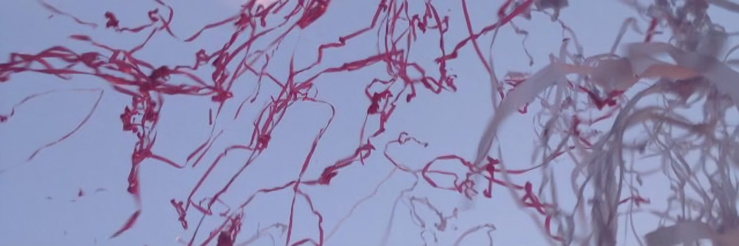 Georgina Blackman banner