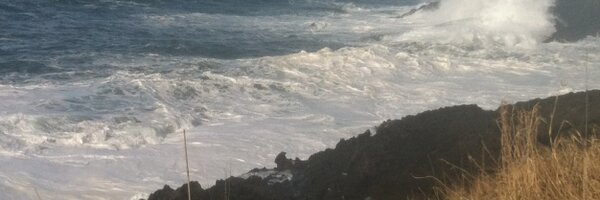 SoCalAcadRPG Profile Banner