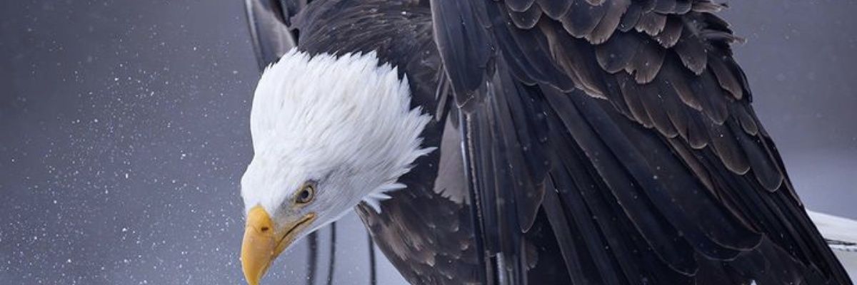 7SerKo4's profile banner image