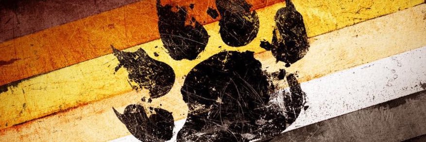 Brummbear85's profile banner image