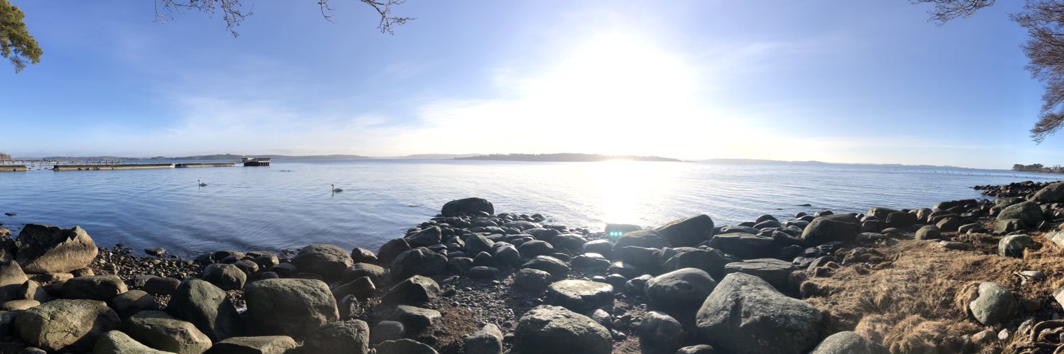 Callekula's profile banner image