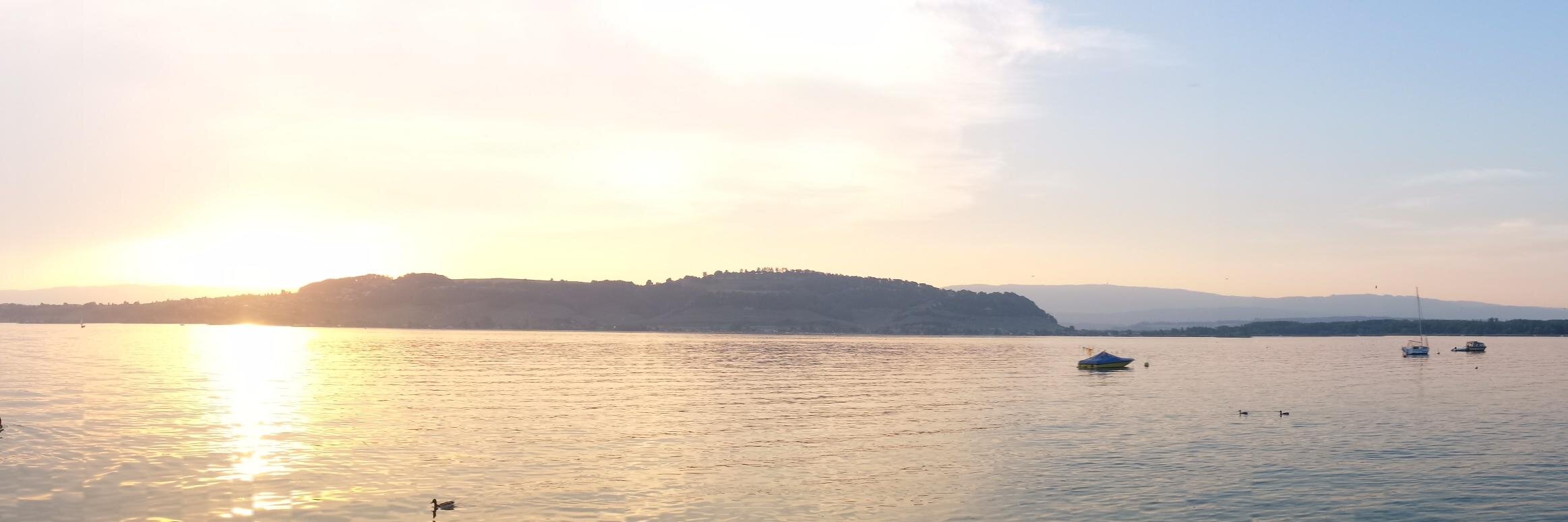 SMuegeli's profile banner image