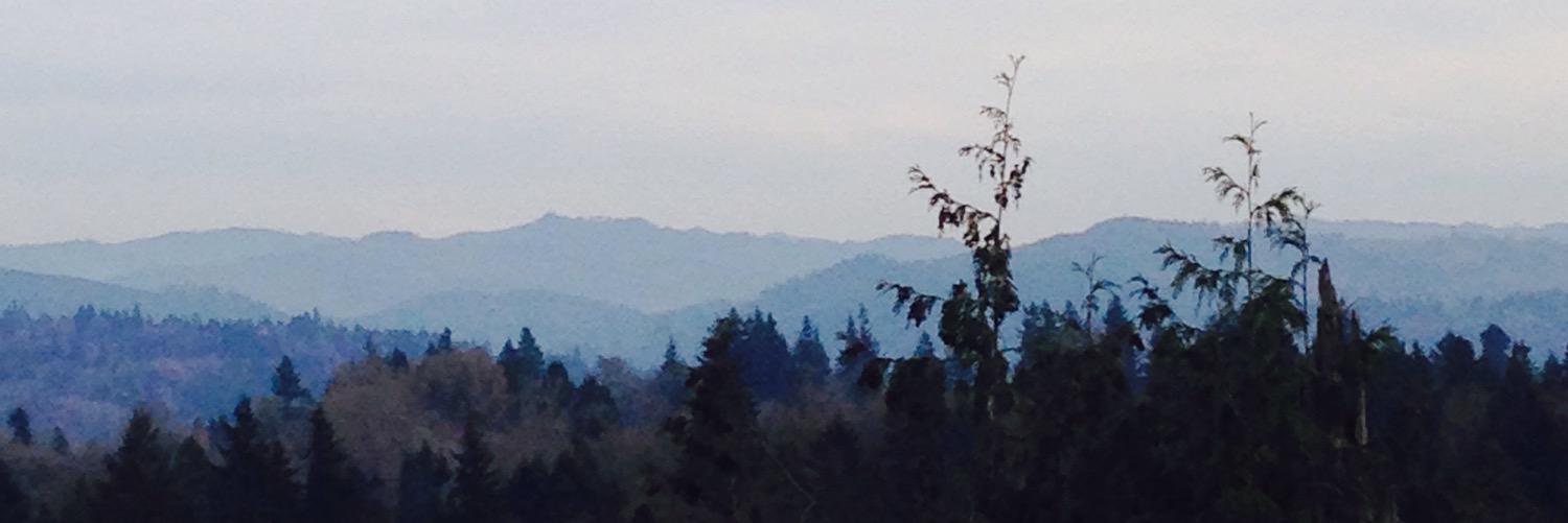 mignik68's profile banner image