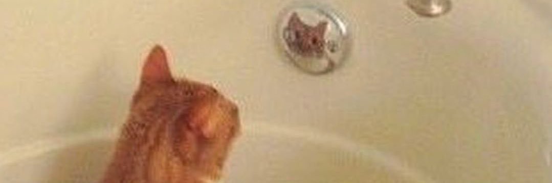 olixhoney's profile banner image