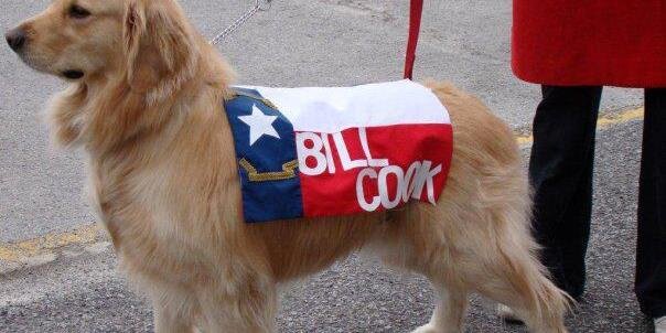 Senator Bill Cook banner