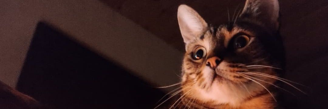 RelaxMadafaka's profile banner image