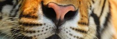 Ktee528's profile banner image