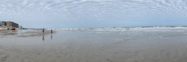 lizzyfookune Profile Banner