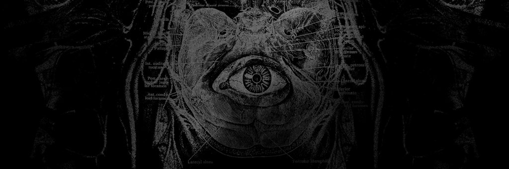 MalignantRecs's profile banner image