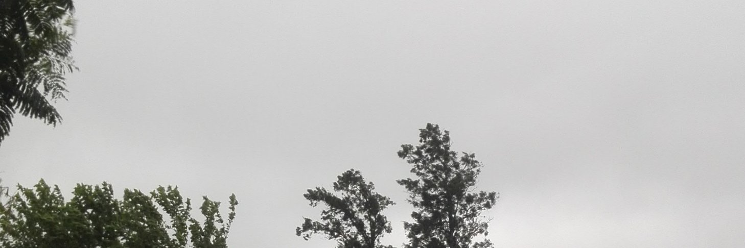 lseba's profile banner image