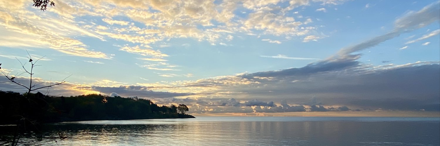 Colleen Gauthier banner