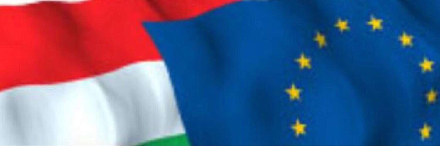 Márton HAJDU banner