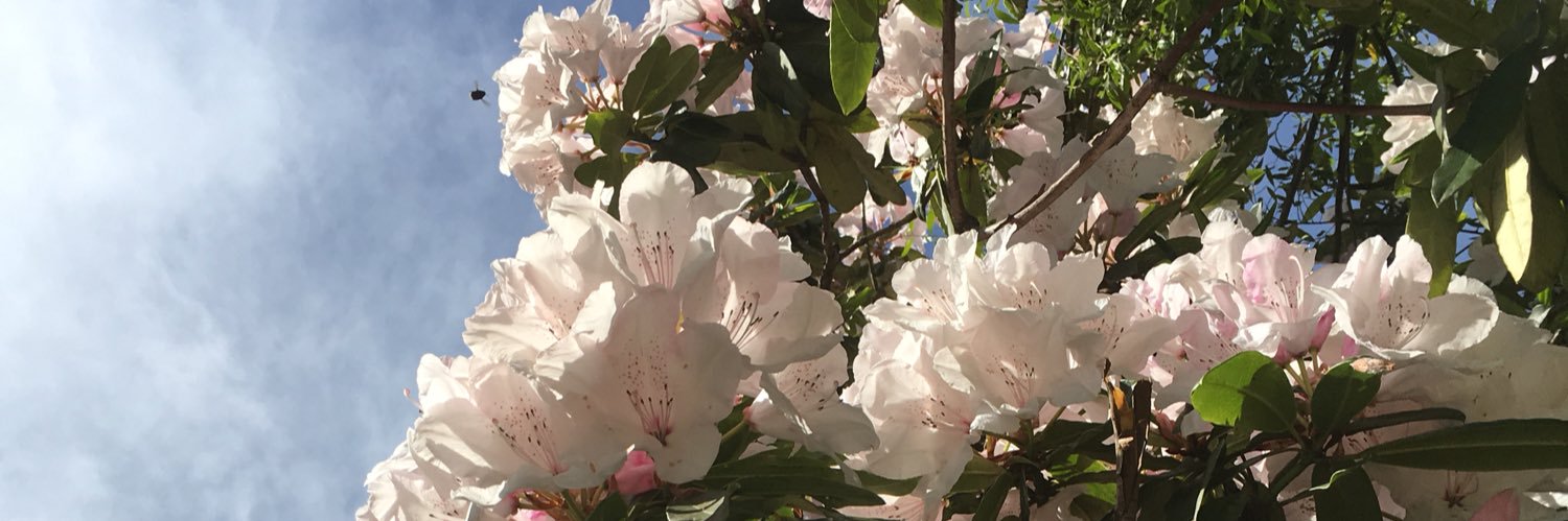 flo_aguilera's profile banner image
