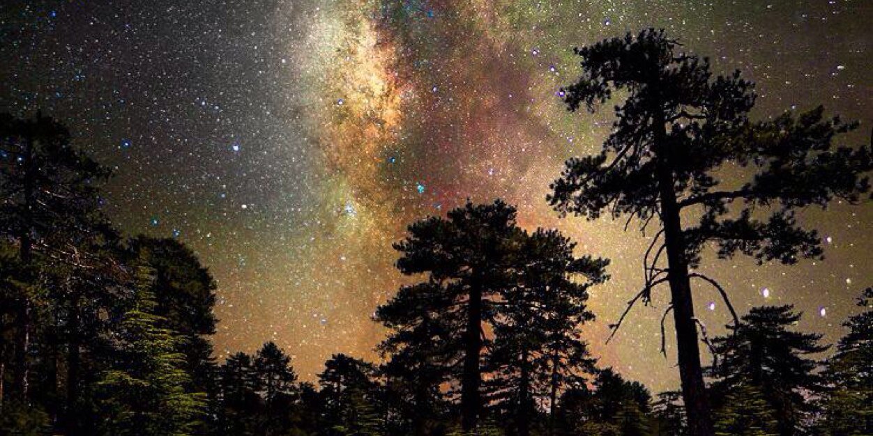 jade_spivey's profile banner image