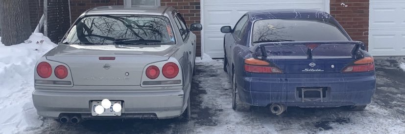 DrMantisToboggan banner