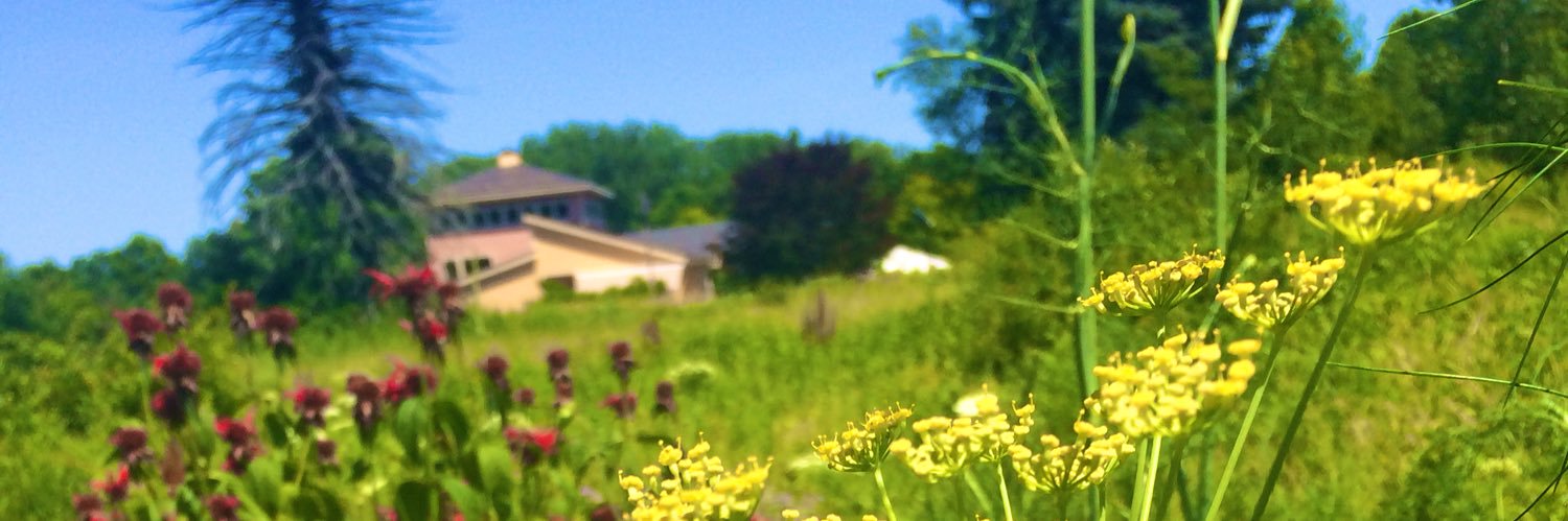 Boston Food Forest banner