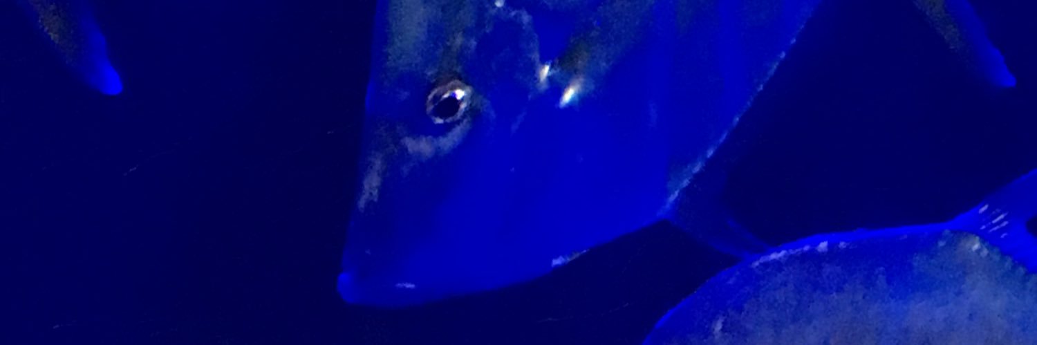 Beth Brainerd banner