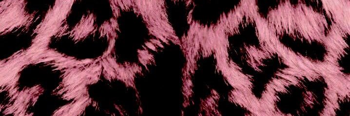xbbyluv's profile banner image
