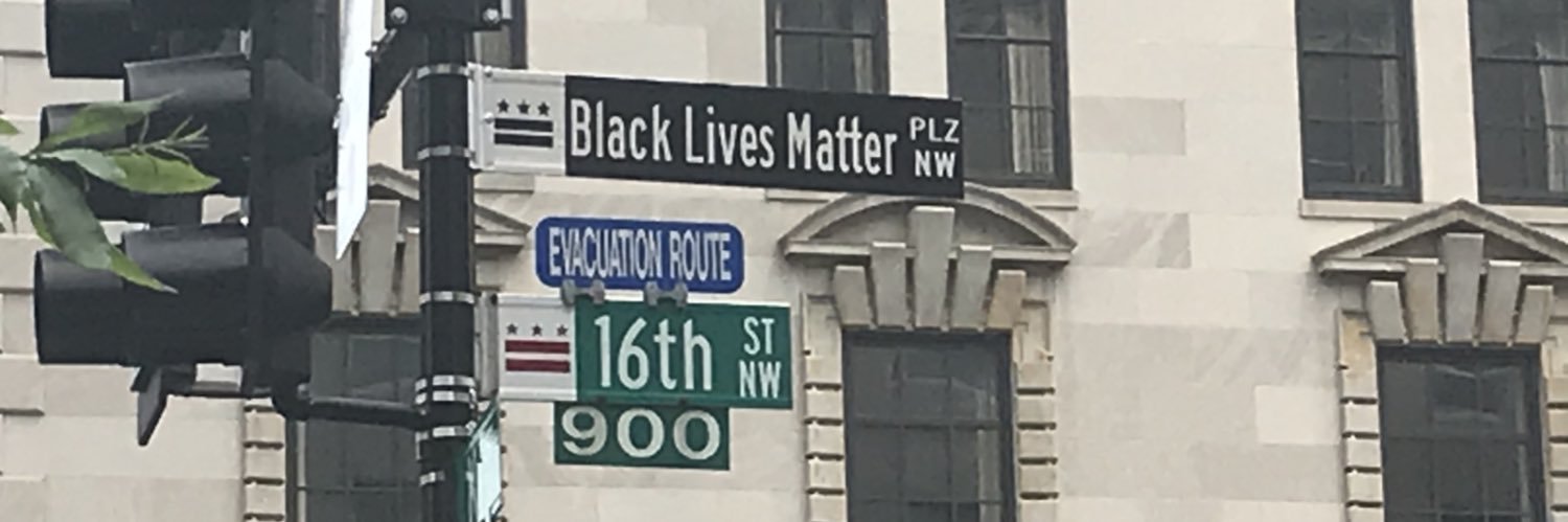 Monica Cardella banner