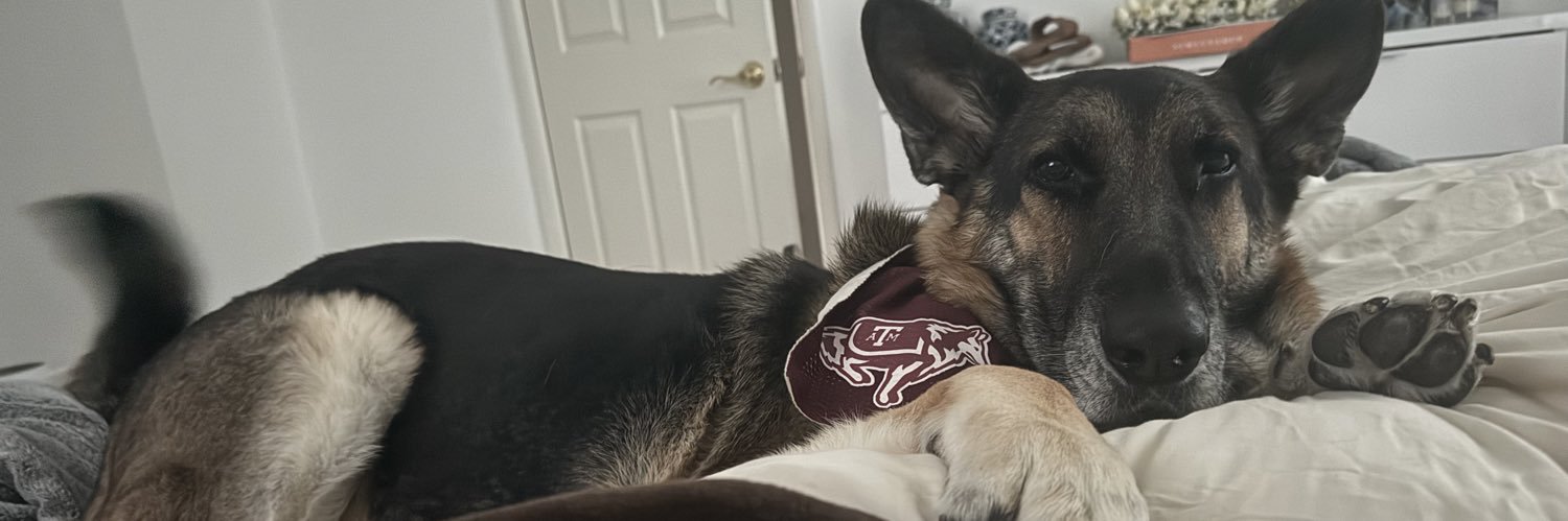 themasonmichell's profile banner image