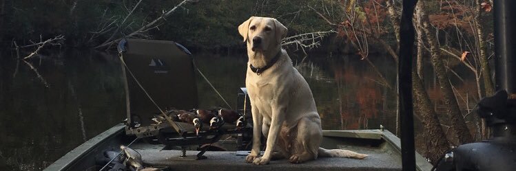 TateTolbert's profile banner image