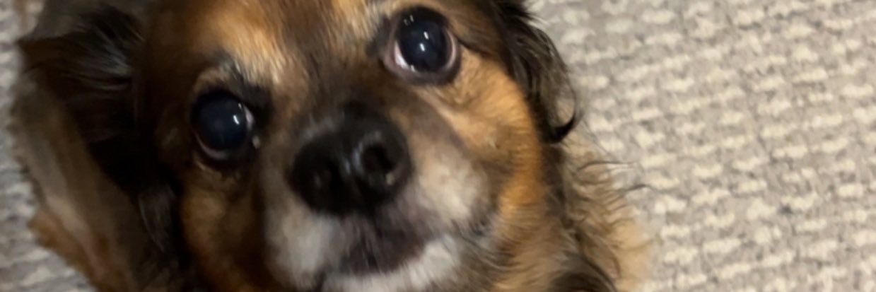 SHOAFALICIOUS's profile banner image