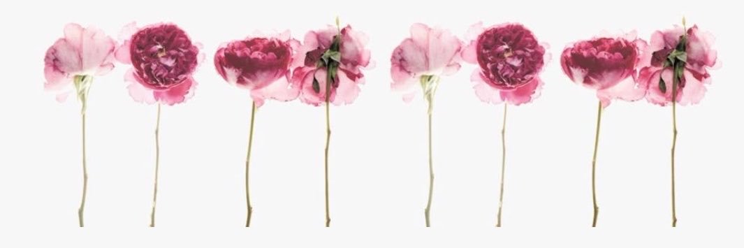 laciensley's profile banner image