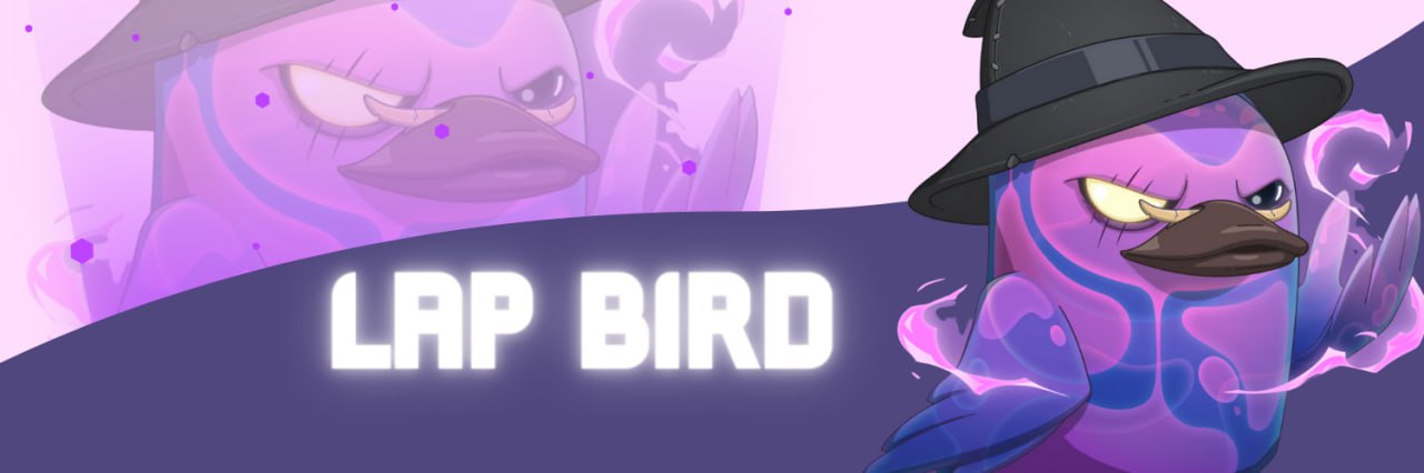 LAP BIRD banner