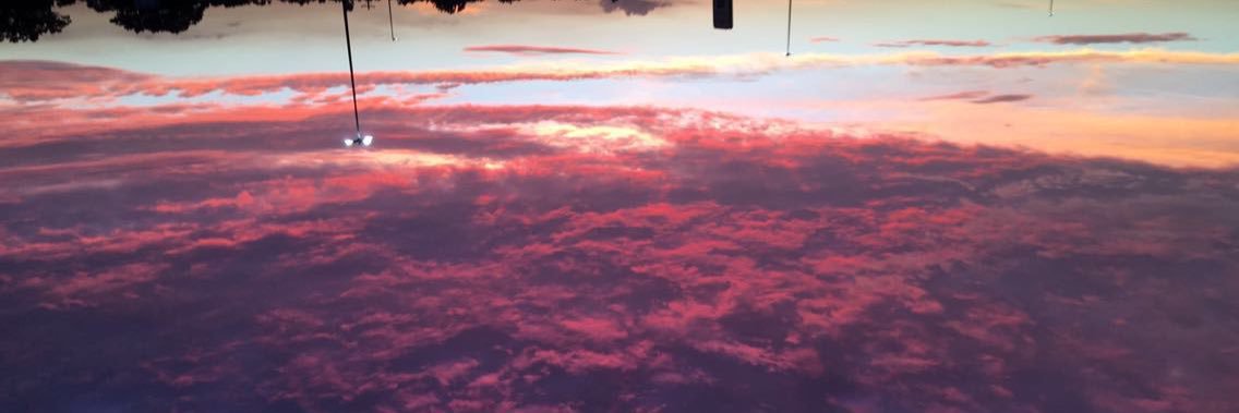 DSipotz's profile banner image