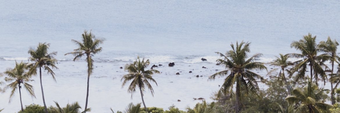 toribalogg's profile banner image