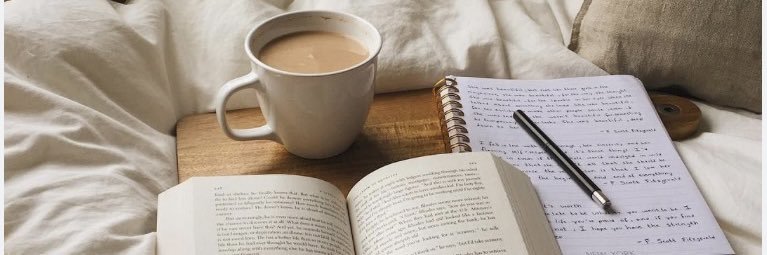 Allison Schafer banner