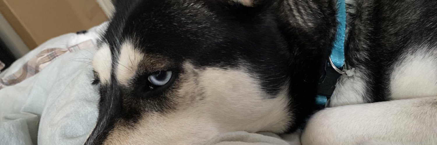 KeepingupwitKi's profile banner image