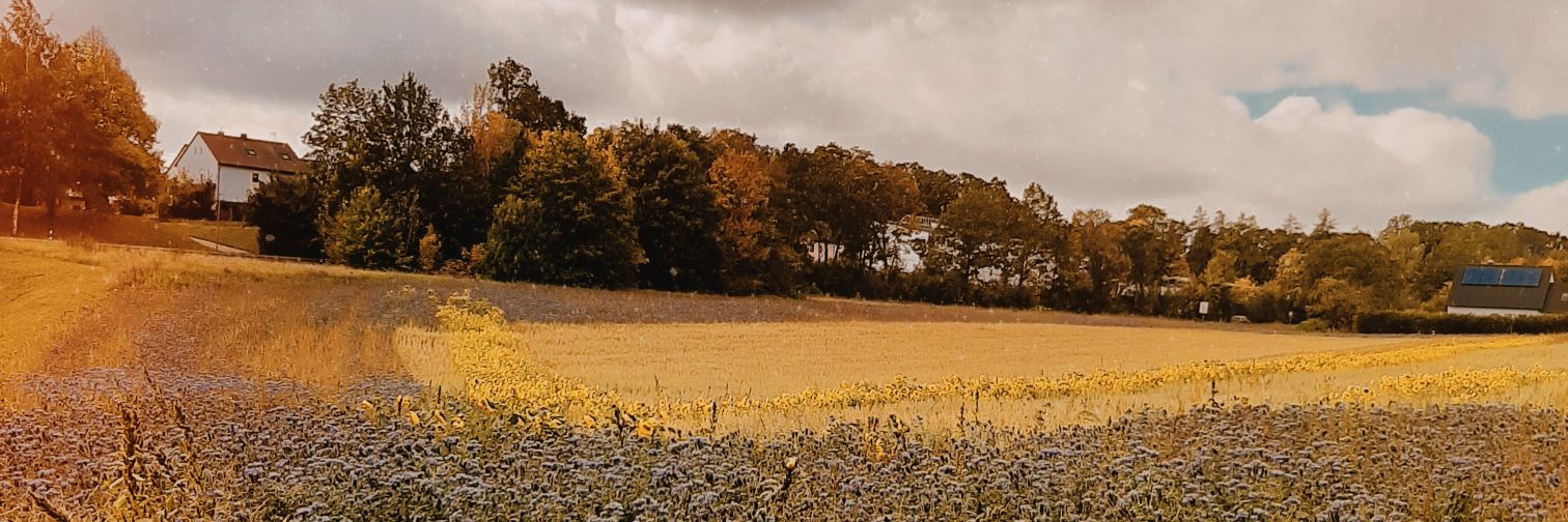olddirtyanna's profile banner image