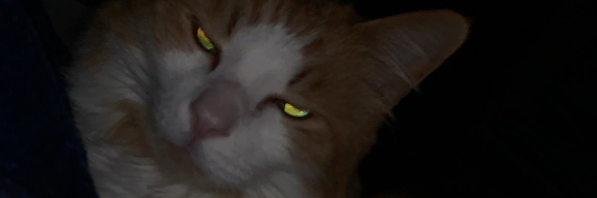Nixin425's profile banner image