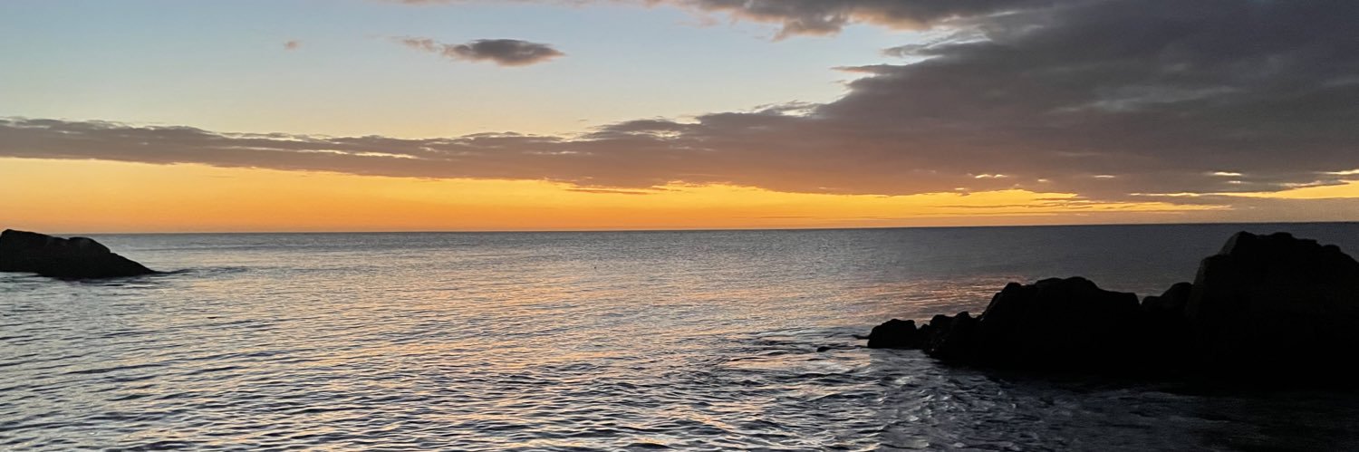 DariodaSilva95's profile banner image