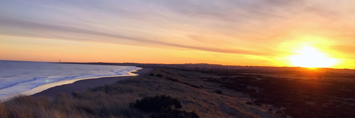 Caitlin Anderson banner