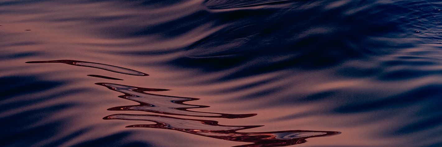 Katherine Allaby banner