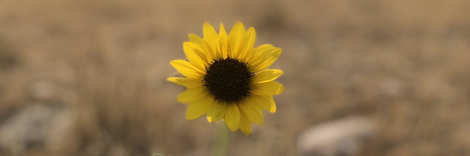 averyscottbrown's profile banner image