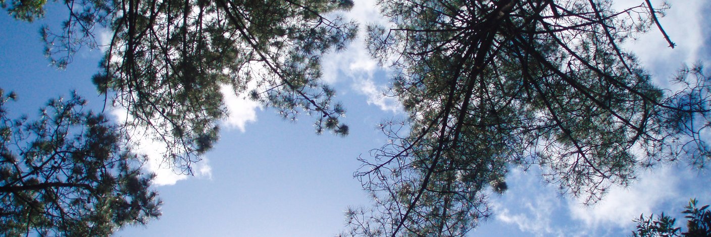 telmott's profile banner image