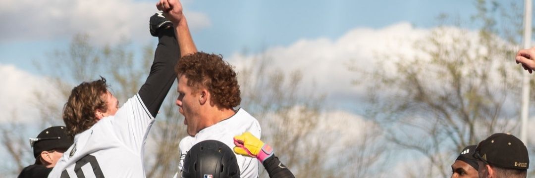 davidsonsteele's profile banner image