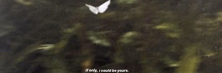 Ⱨ₳₦ł🦋 banner