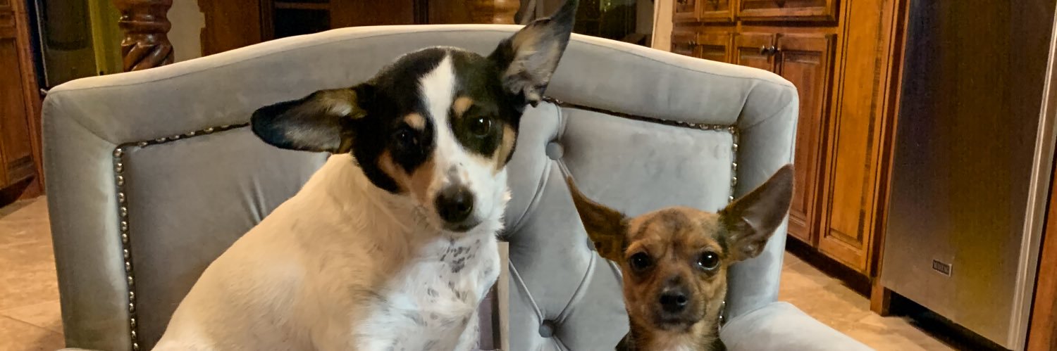 BarrettCarley's profile banner image