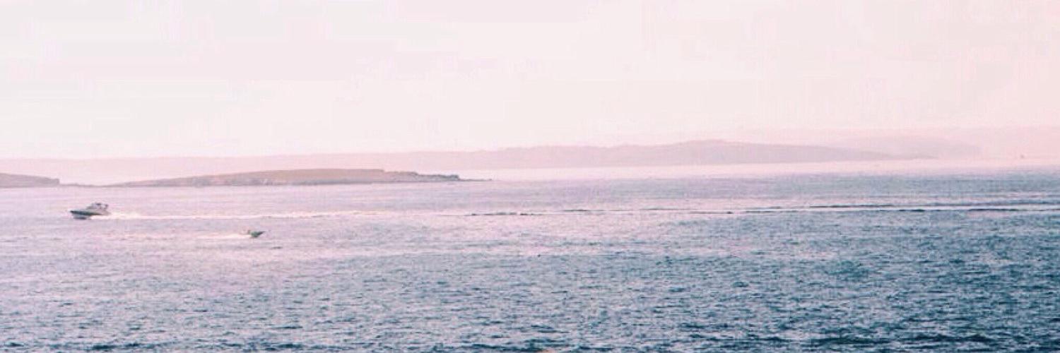 watermeleanor's profile banner image