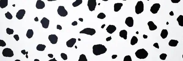AEllison__'s profile banner image
