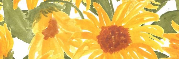 izzyhavis's profile banner image