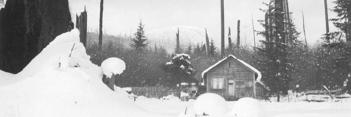 Sunshine Coast Museum & Archives banner