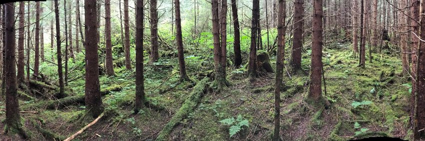 Vance Checketts banner