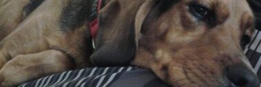 ddray61's profile banner image