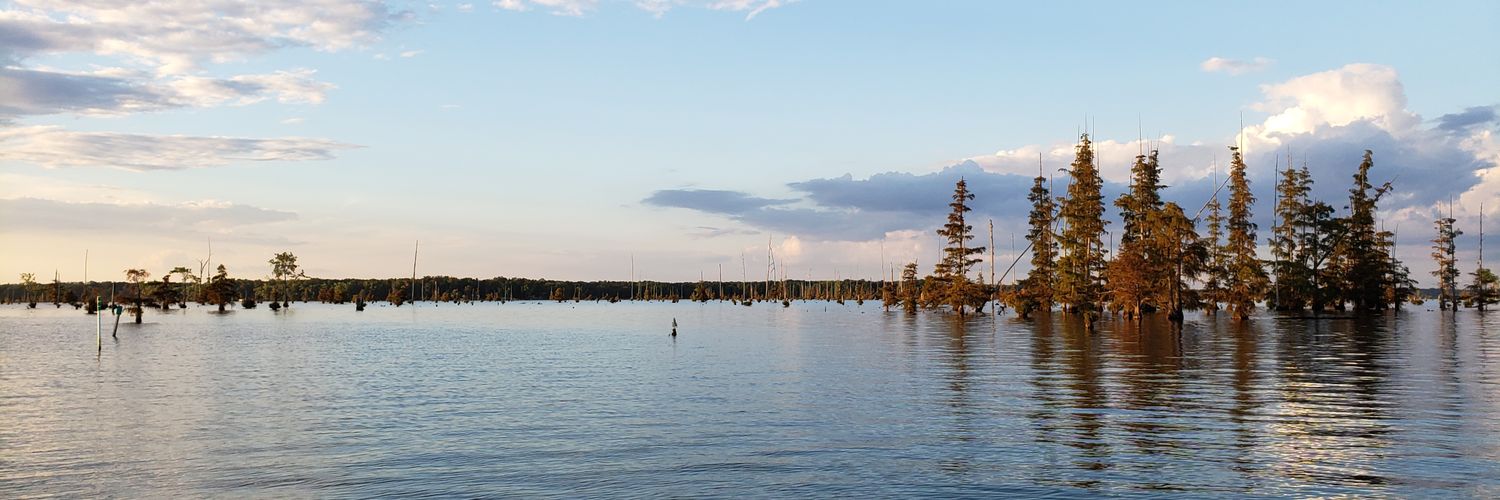 Bobby Reynolds banner